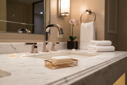 Luxury soap dish Model 019 in five-star hotel bathroom